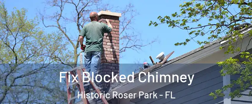 Fix Blocked Chimney Historic Roser Park - FL