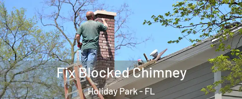 Fix Blocked Chimney Holiday Park - FL