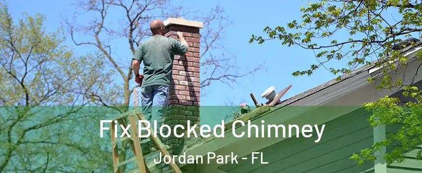 Fix Blocked Chimney Jordan Park - FL