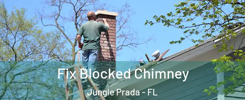 Fix Blocked Chimney Jungle Prada - FL