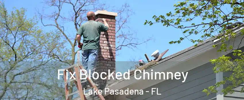 Fix Blocked Chimney Lake Pasadena - FL