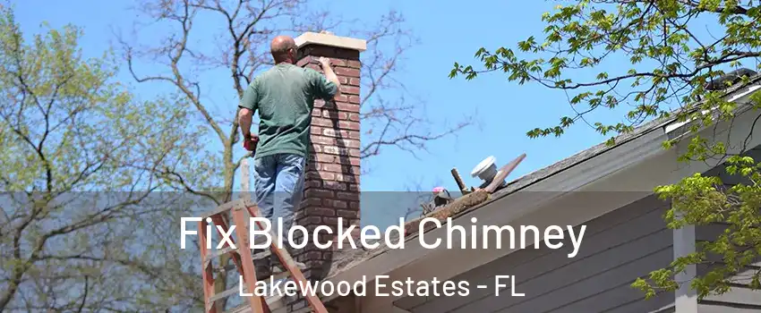 Fix Blocked Chimney Lakewood Estates - FL