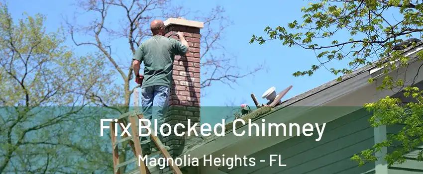 Fix Blocked Chimney Magnolia Heights - FL