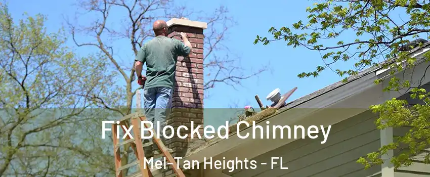 Fix Blocked Chimney Mel-Tan Heights - FL