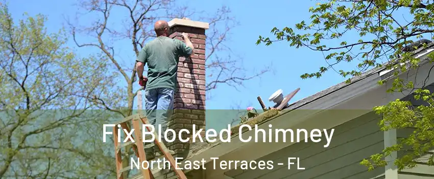 Fix Blocked Chimney North East Terraces - FL