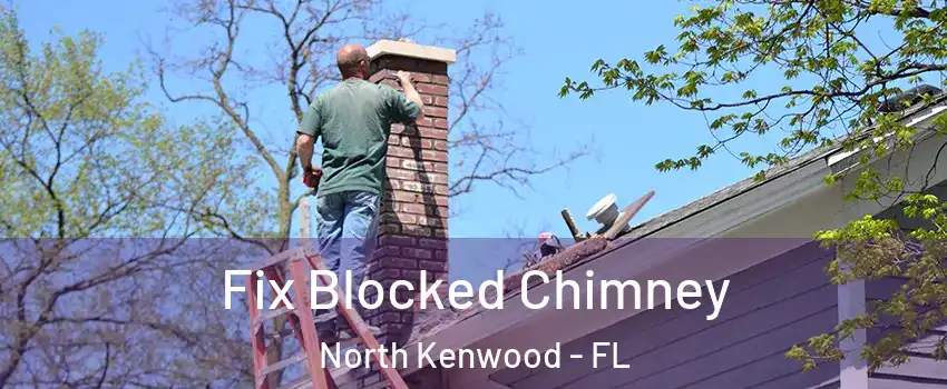 Fix Blocked Chimney North Kenwood - FL