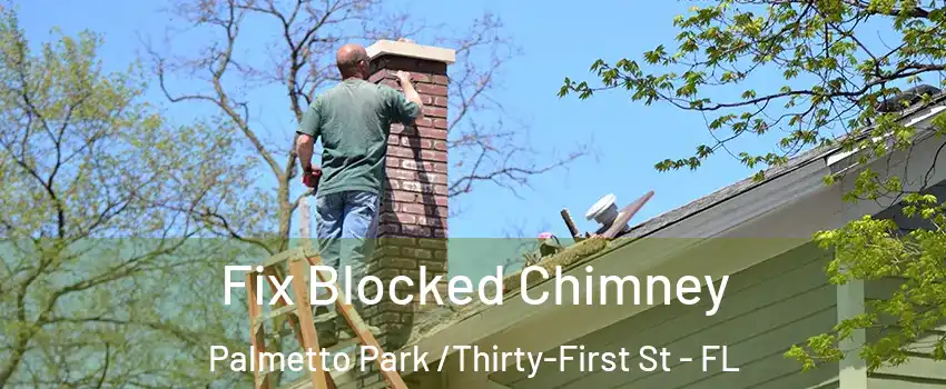 Fix Blocked Chimney Palmetto Park /Thirty-First St - FL