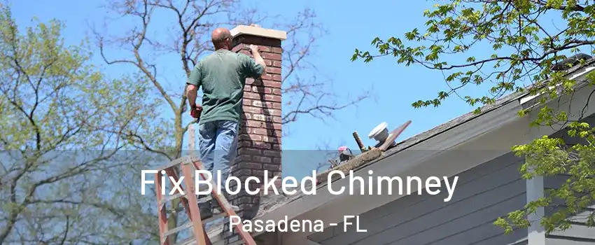 Fix Blocked Chimney Pasadena - FL