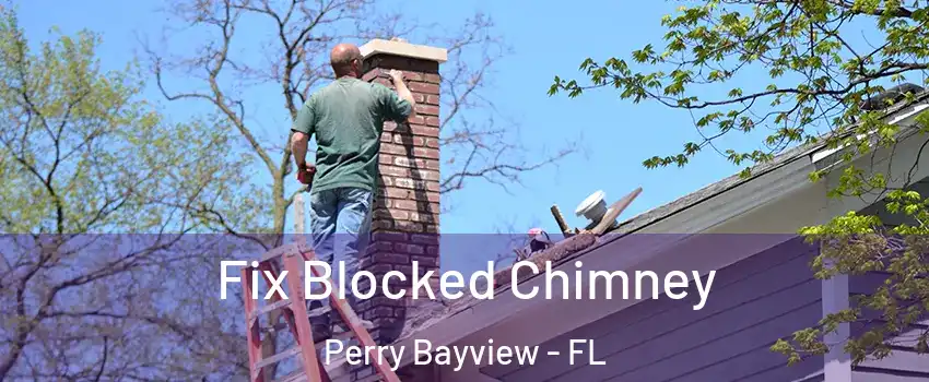 Fix Blocked Chimney Perry Bayview - FL