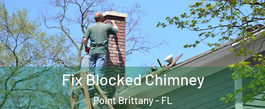 Fix Blocked Chimney Point Brittany - FL