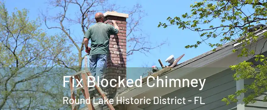 Fix Blocked Chimney Round Lake Historic District - FL