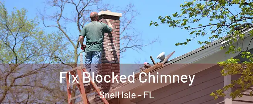 Fix Blocked Chimney Snell Isle - FL