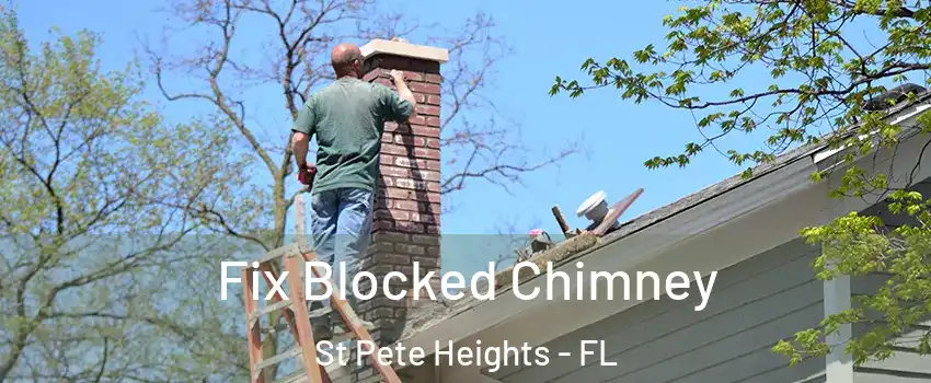 Fix Blocked Chimney St Pete Heights - FL