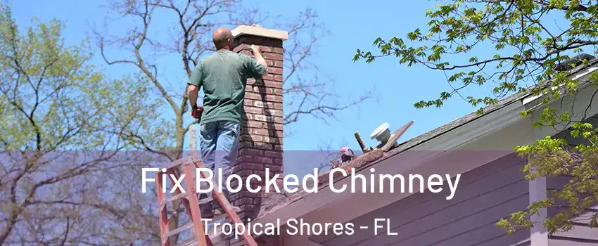 Fix Blocked Chimney Tropical Shores - FL