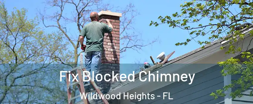 Fix Blocked Chimney Wildwood Heights - FL