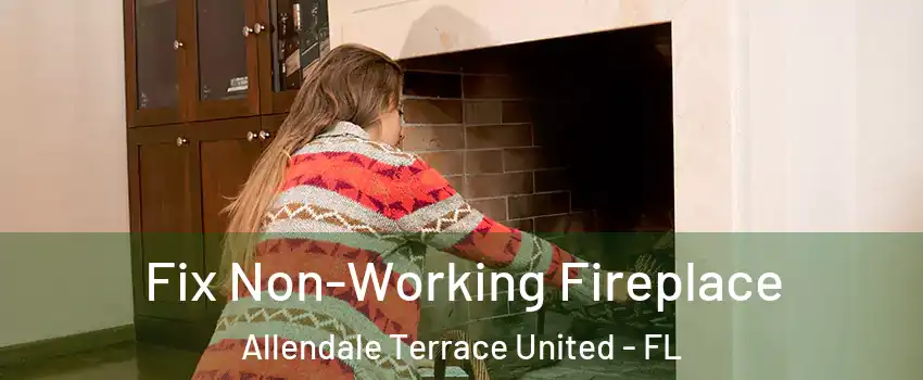 Fix Non-Working Fireplace Allendale Terrace United - FL