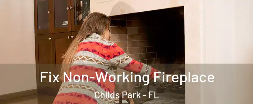 Fix Non-Working Fireplace Childs Park - FL