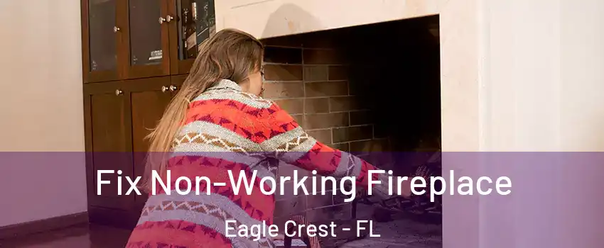 Fix Non-Working Fireplace Eagle Crest - FL