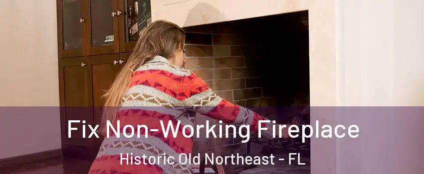 Fix Non-Working Fireplace Historic Old Northeast - FL