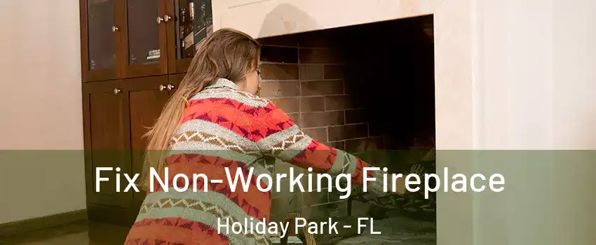 Fix Non-Working Fireplace Holiday Park - FL