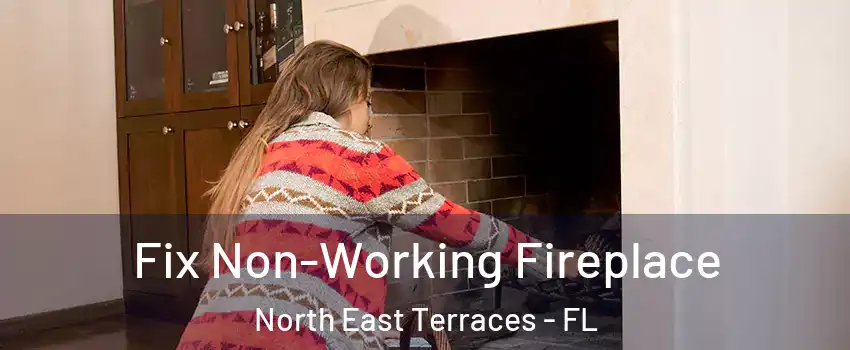 Fix Non-Working Fireplace North East Terraces - FL