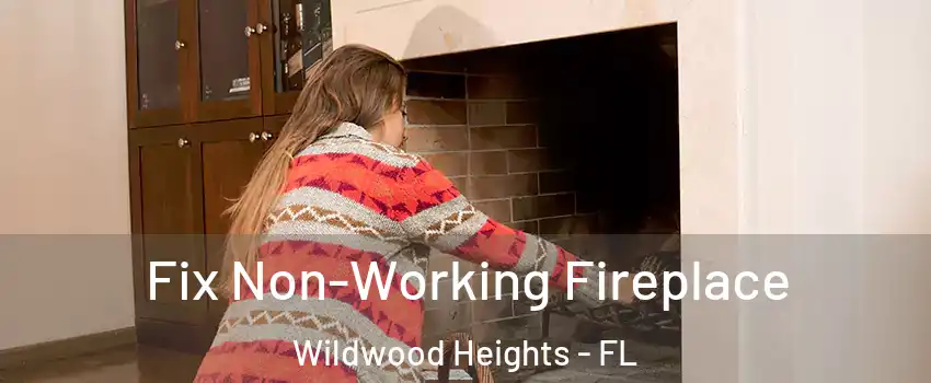 Fix Non-Working Fireplace Wildwood Heights - FL