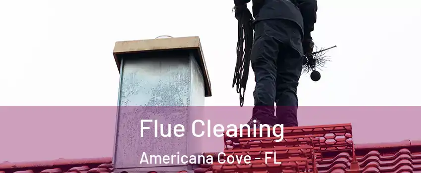 Flue Cleaning Americana Cove - FL