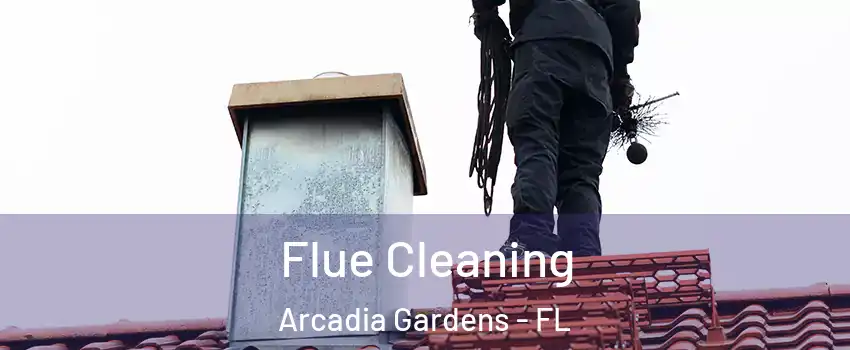 Flue Cleaning Arcadia Gardens - FL