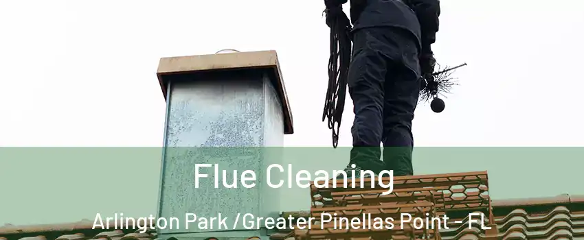 Flue Cleaning Arlington Park /Greater Pinellas Point - FL
