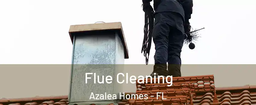 Flue Cleaning Azalea Homes - FL
