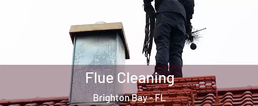 Flue Cleaning Brighton Bay - FL