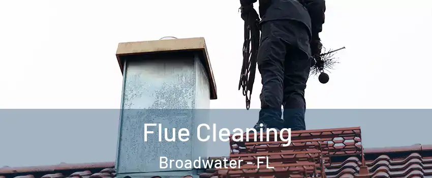 Flue Cleaning Broadwater - FL