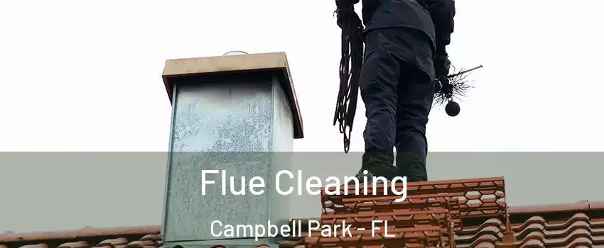 Flue Cleaning Campbell Park - FL