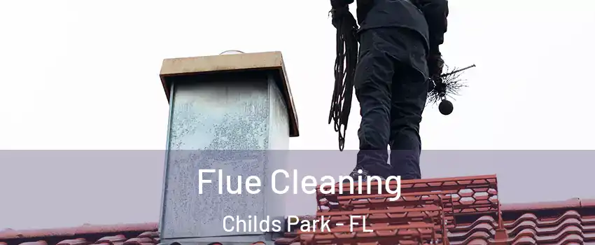 Flue Cleaning Childs Park - FL