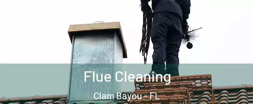 Flue Cleaning Clam Bayou - FL
