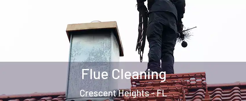 Flue Cleaning Crescent Heights - FL