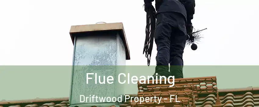 Flue Cleaning Driftwood Property - FL
