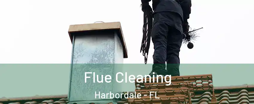 Flue Cleaning Harbordale - FL