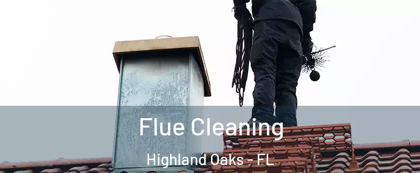 Flue Cleaning Highland Oaks - FL