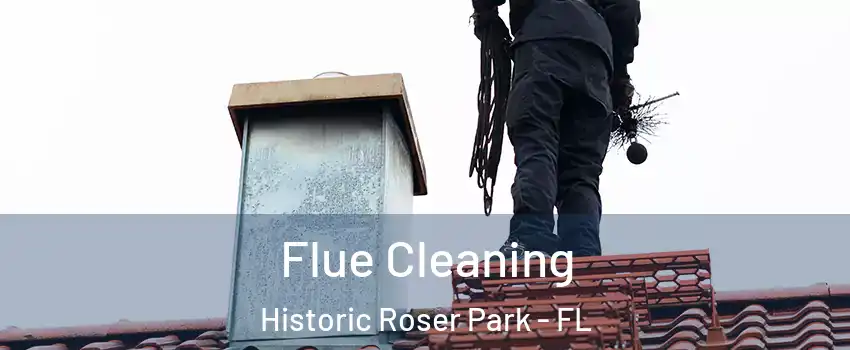 Flue Cleaning Historic Roser Park - FL