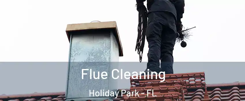 Flue Cleaning Holiday Park - FL