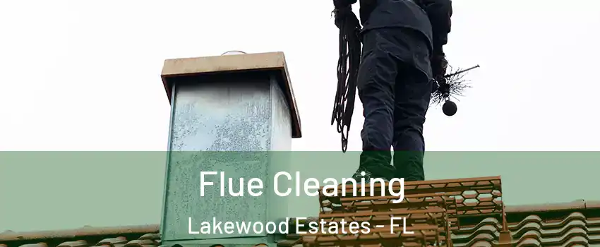 Flue Cleaning Lakewood Estates - FL