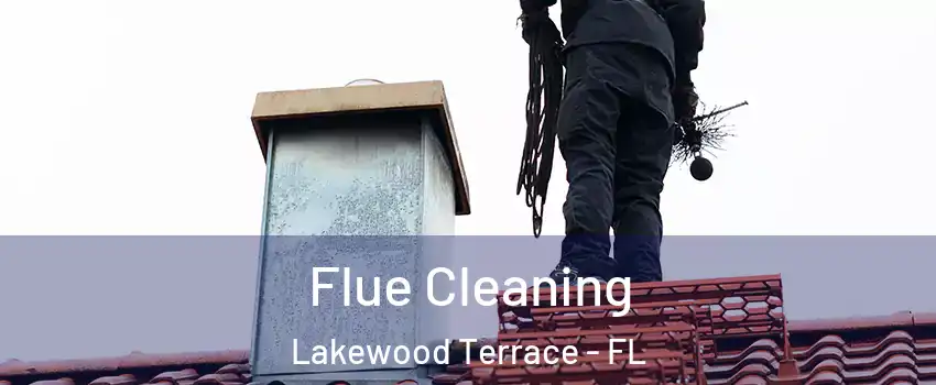 Flue Cleaning Lakewood Terrace - FL