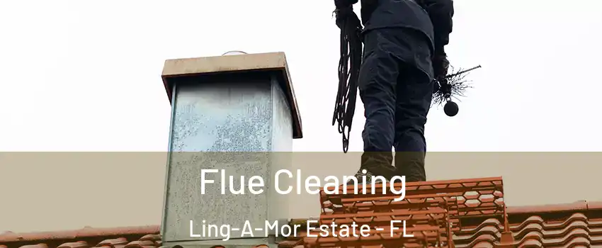 Flue Cleaning Ling-A-Mor Estate - FL