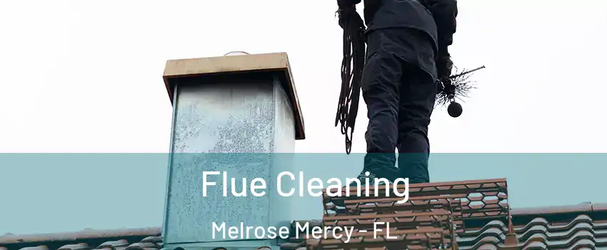 Flue Cleaning Melrose Mercy - FL