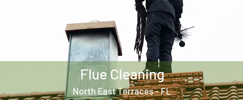 Flue Cleaning North East Terraces - FL
