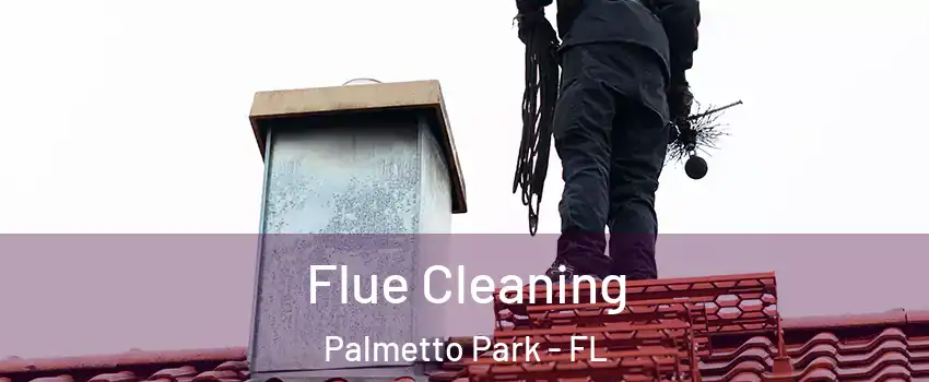Flue Cleaning Palmetto Park - FL