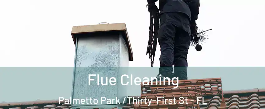 Flue Cleaning Palmetto Park /Thirty-First St - FL