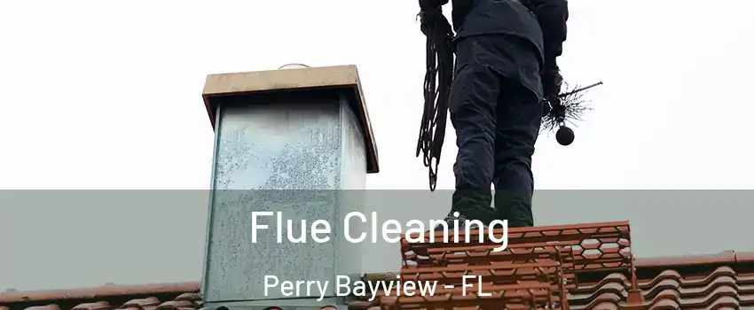 Flue Cleaning Perry Bayview - FL