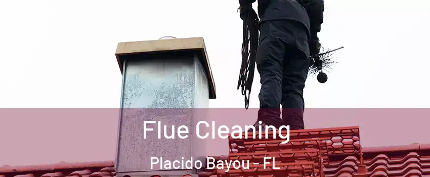 Flue Cleaning Placido Bayou - FL